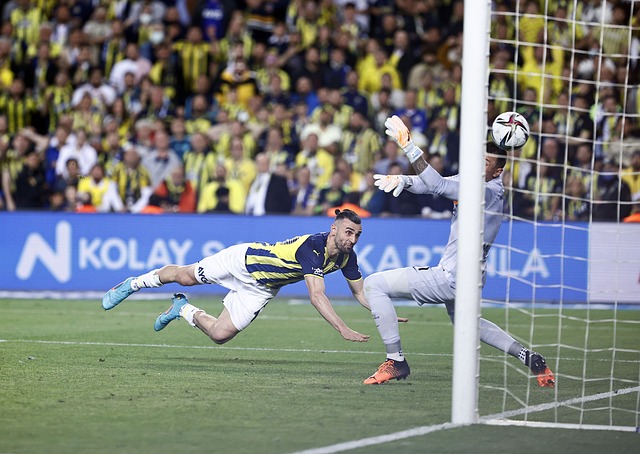 为大家揭开 为大家揭开