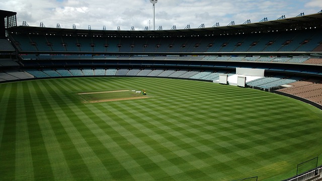 往往会随着 往往会随着