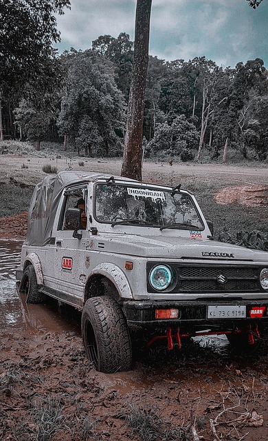 特别关注指 特别关注指