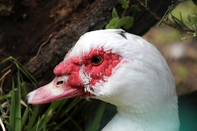 適應新角色 適應新角色