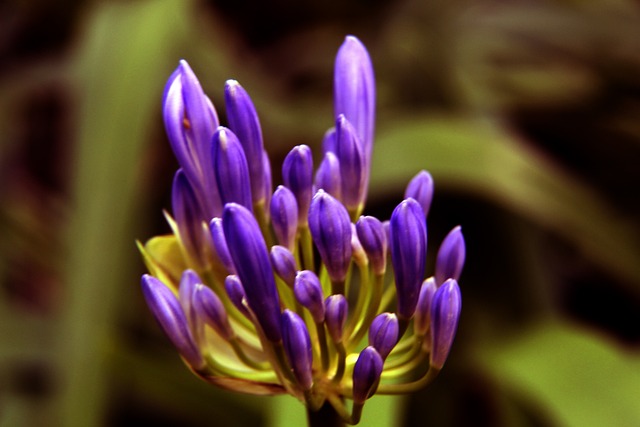 界足球领域 界足球领域