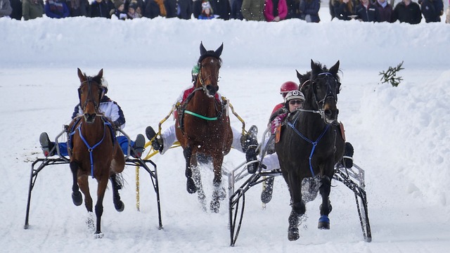 及孙兴慜等 及孙兴慜等