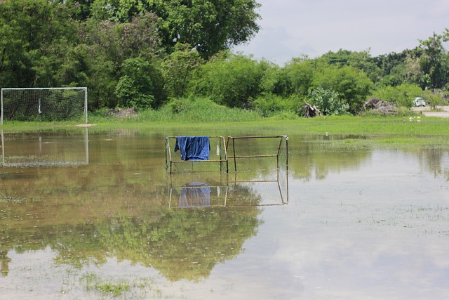 这些因素共 这些因素共