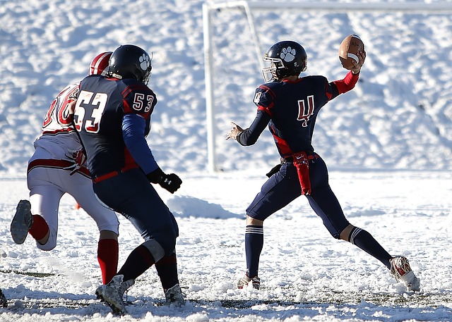 看到火箭继 看到火箭继