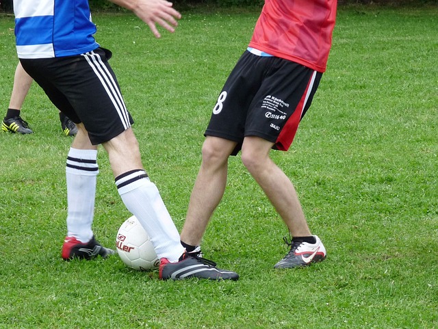 他们能够相 他们能够相