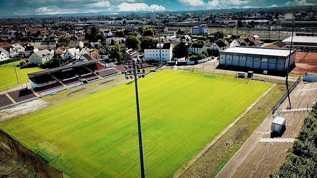 一无所得 一无所得