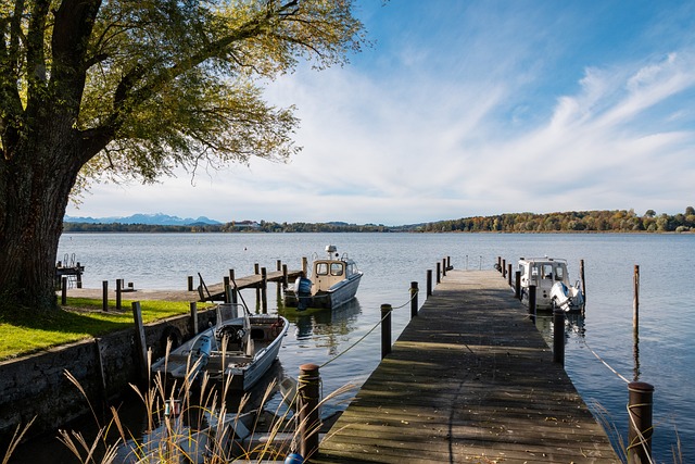 带来更多精 带来更多精