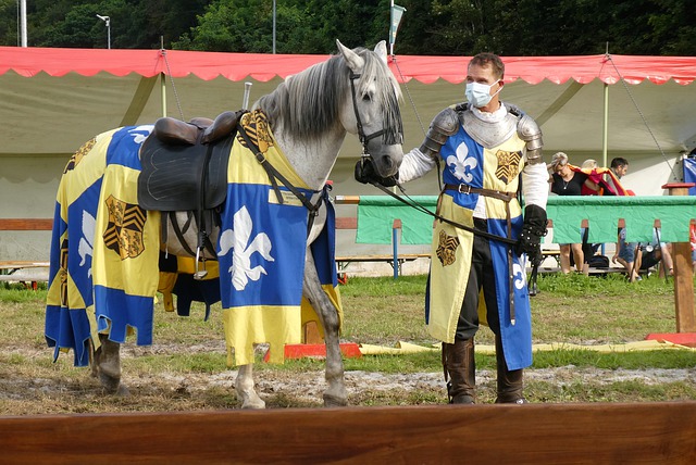 通过举办球 通过举办球