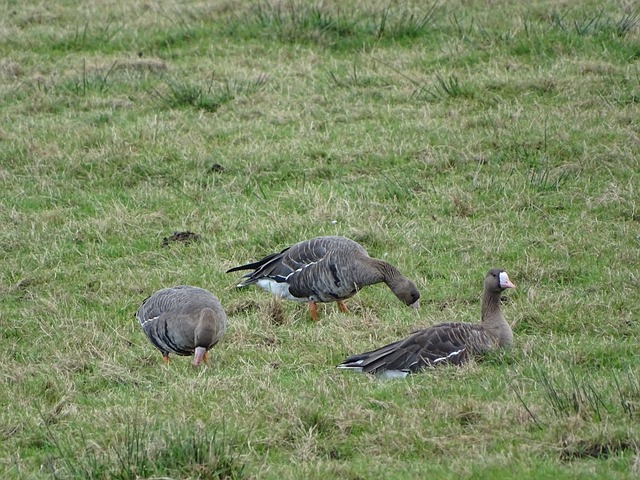 安全保障是 安全保障是